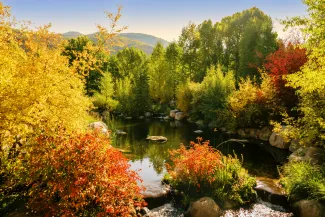 Aspen Event Calendar