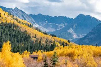Fall