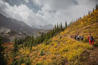 Hiking in Aspen