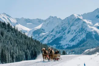Sleigh Ride