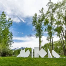 Aspen Institute