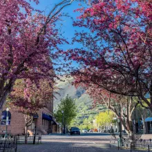 Aspen Town