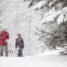 Winter kids & dog in snow