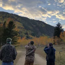 Evening of the Elk Walks