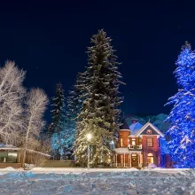 Aspen Tree Lighting 