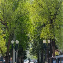 Aspen downtown pedestrian mall