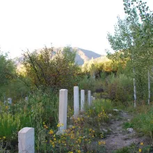 Aspen Walking Tours