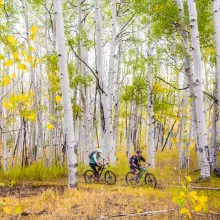 Fall Mountain Biking