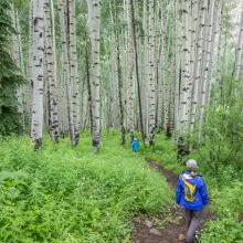 Hiking in Aspen