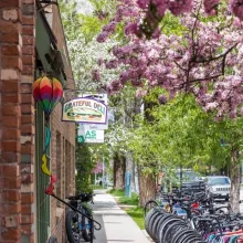 Spring in Aspen
