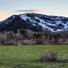 Spring in Aspen