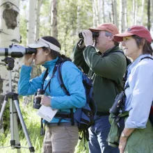 ACES birding event