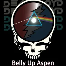Belly Up Concert Aspen