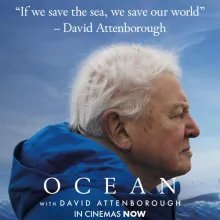 OCEAN Film Screening Aspen Film