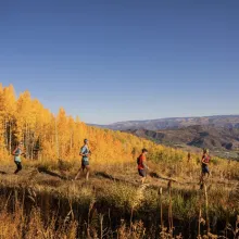 Golden Leaf Half Marathon