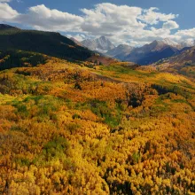 Fall in Aspen