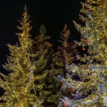 The Little Nell: Tree Lighting