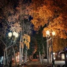 W Aspen's Haunted Hotel Halloween Party