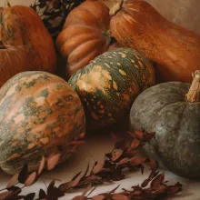 Thanksgiving Dinner at MOLLIE