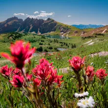 Things to do during summer in Aspen