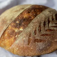 Intro to Sourdough Workshop