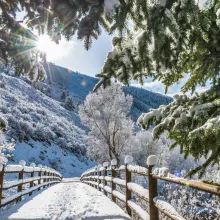 Health and Wellness in Aspen