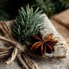 Holiday Market MOLLIE Aspen