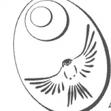 Potbelly Perspectives Aspen 2026