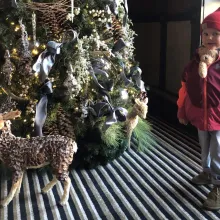 Teddy Bear Story Hour at the Hotel Jerome