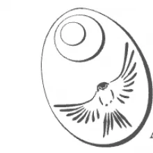 Naturalist Nights ACES Aspen