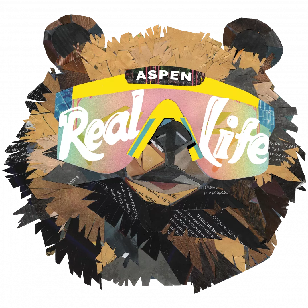 Aspen Real Life 