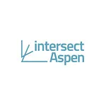 Intersect Aspen Art and Design Fair (a VGMGT Company)