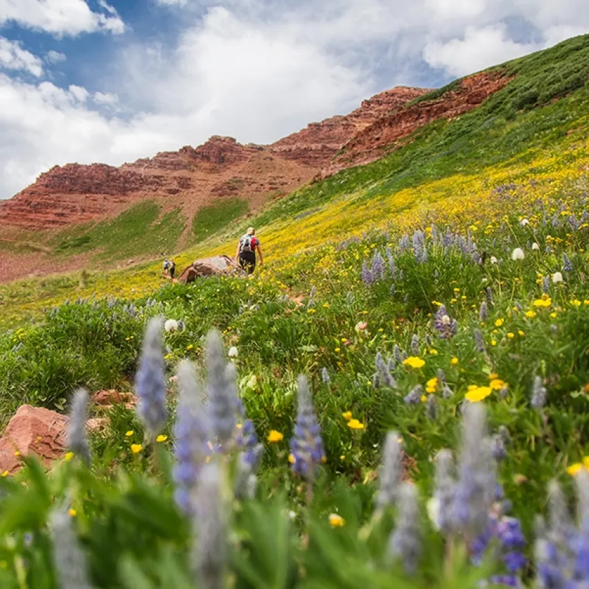 A Welcoming Mountain Town; Defy Ordinary | Aspen, CO