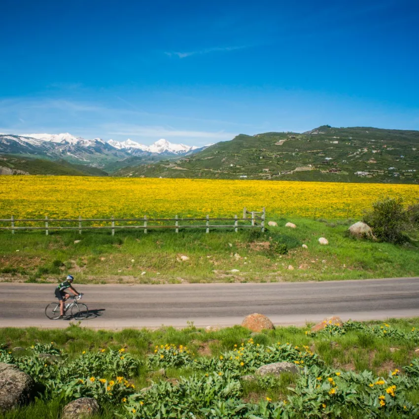 Spring Road Bike