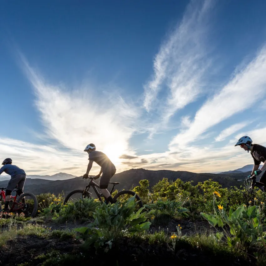 Mountain Bikers Aspen Colorado