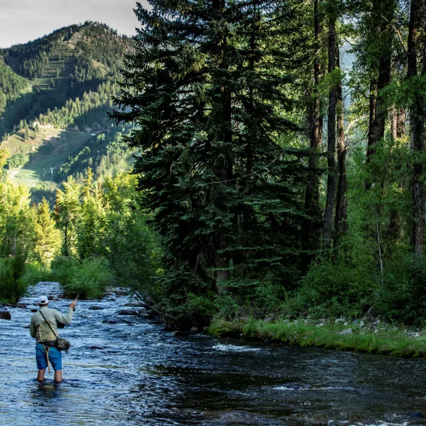 Fly Fishing