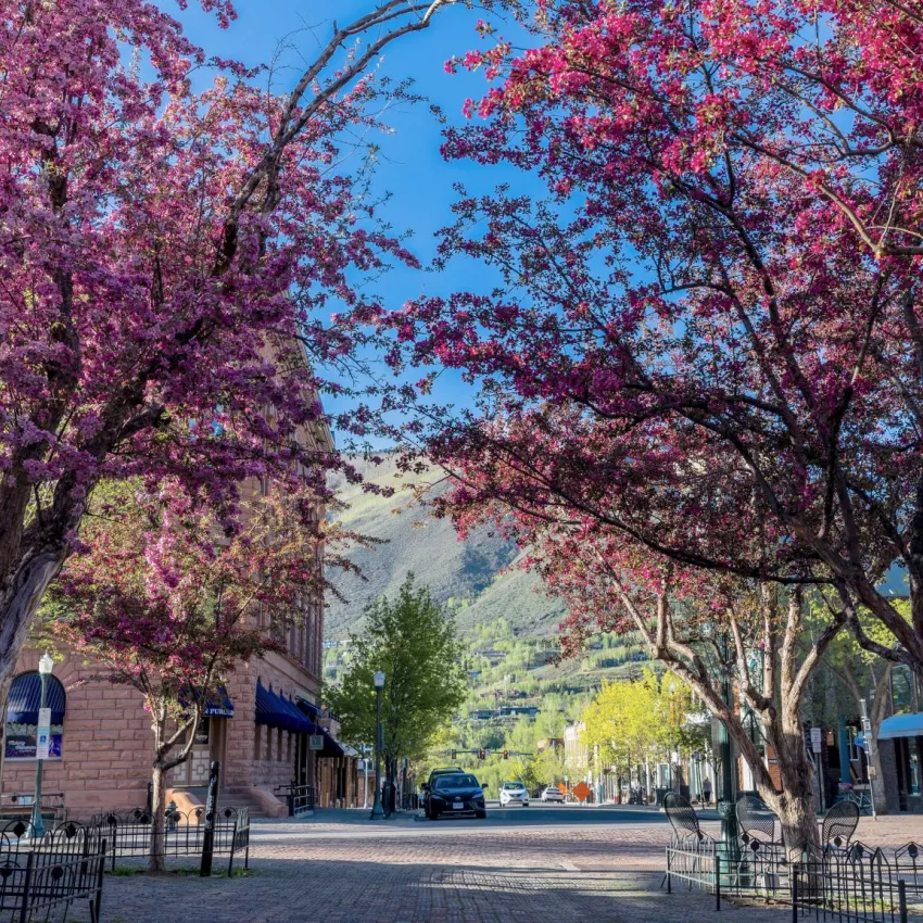 Spring downtown Aspen