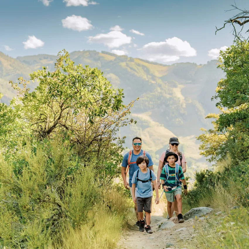 Summer Family Hike