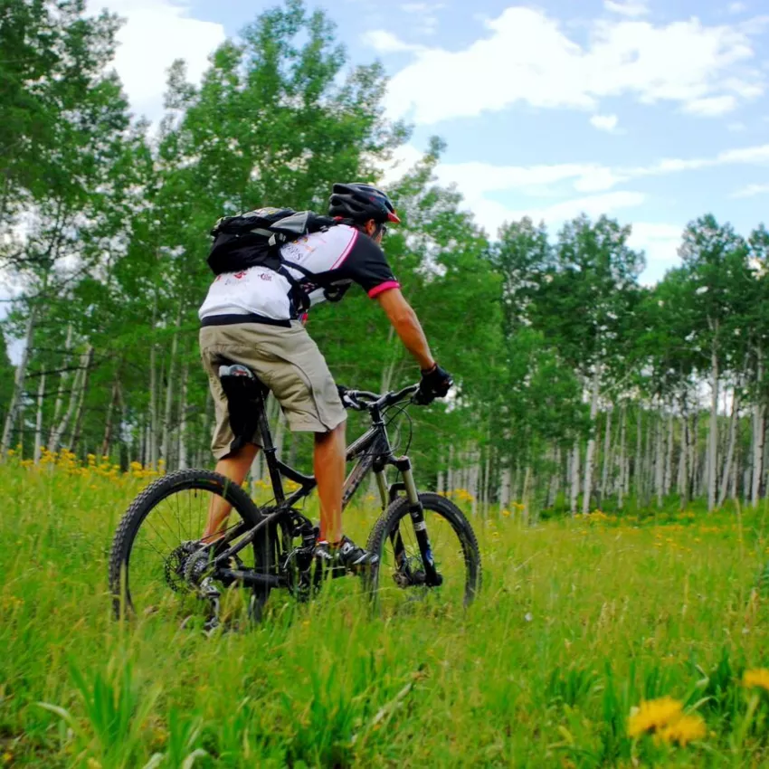 mtnbiking summer